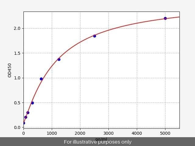 Rat MMP 9 ELISA Kit