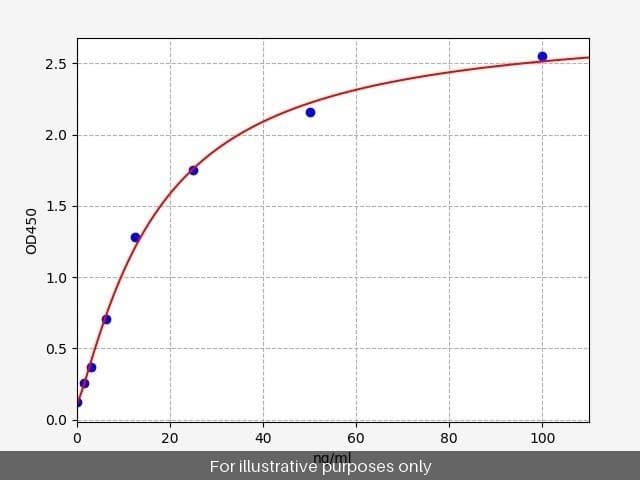 Rat Creatine Kinase MM/CKMM ELISA Kit