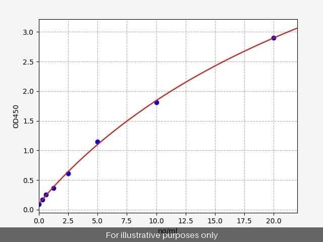 Rat Gamma-synuclein/SNCG ELISA Kit