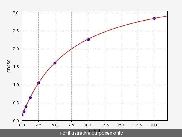Rat Alpha-N-acetylgalactosaminidase/NAGA ELISA Kit