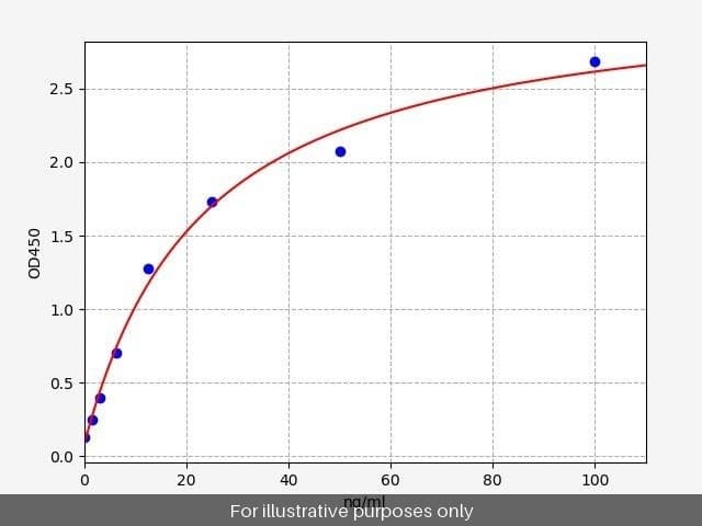 Rat REG4 ELISA Kit