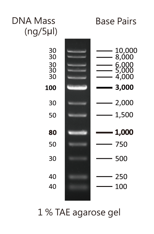 1kb plus DNA ladder 500ul