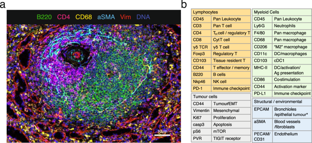 Oncology Panel 10 Gb/sample (5000x.1 Mb panel)