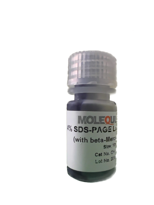 4X SDS-PAGE Loading Buffer with mercaptoethanol