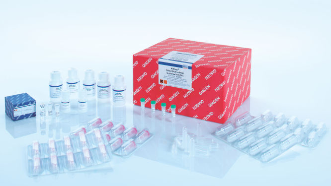 AllPrep DNA/RNA/miRNA Universal Kit (50)